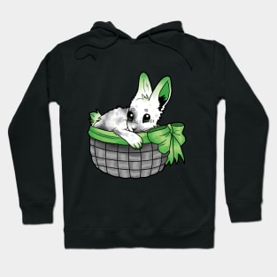 Aromantic Bunny Hoodie